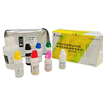 甲型肝炎病毒IgM抗体检测试剂盒（酶联免疫法）