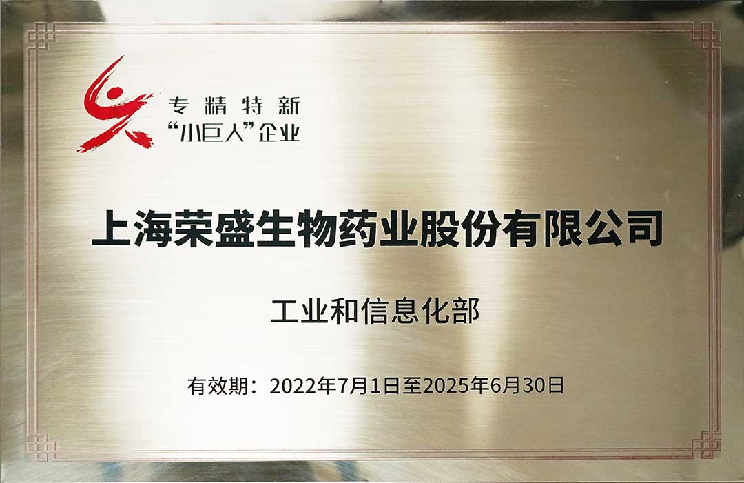 上海市“专精特新”小巨人企业（2022-2025）